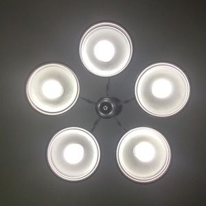 Meet your Posher, Iris